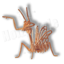 Gottesanbeterin Holzbausatz ab 3,38 EUR Gottesanbeterin Holzbausatz ab 3,38 EUR