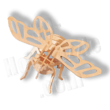 Zikade Holzbausatz ab 3,38 EUR Zikade Holzbausatz ab 3,38 EUR