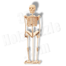 Menschliches Skelett Holzbausatz ab 4,28 EUR